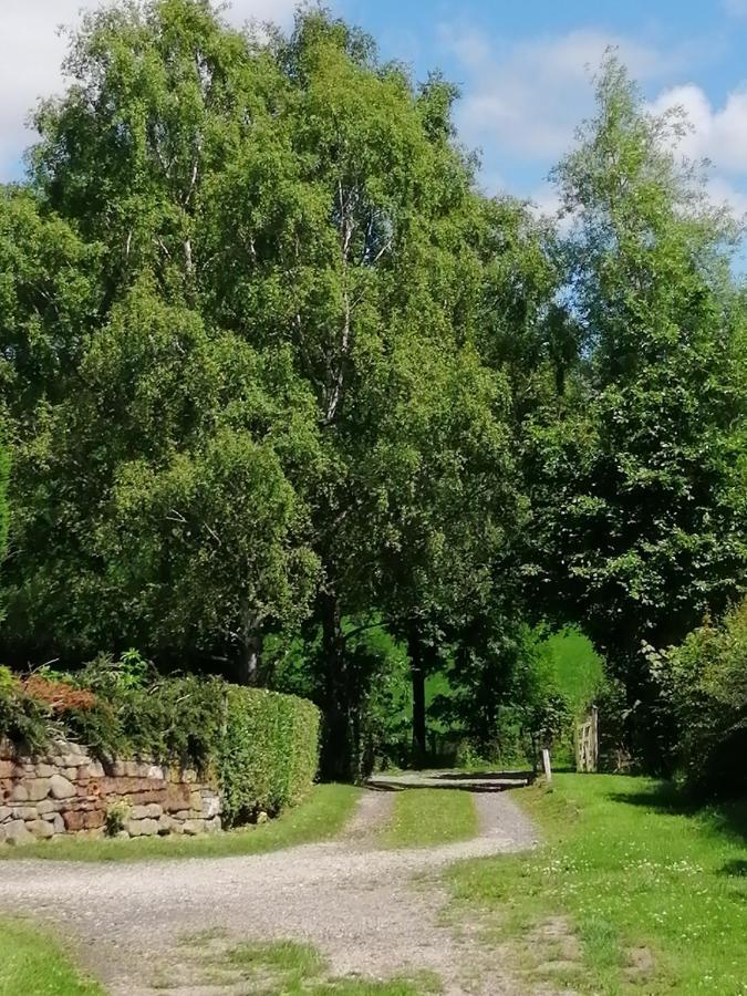 Lakes And Eden Valley. Thornhill Cabin Long Marton Exterior photo