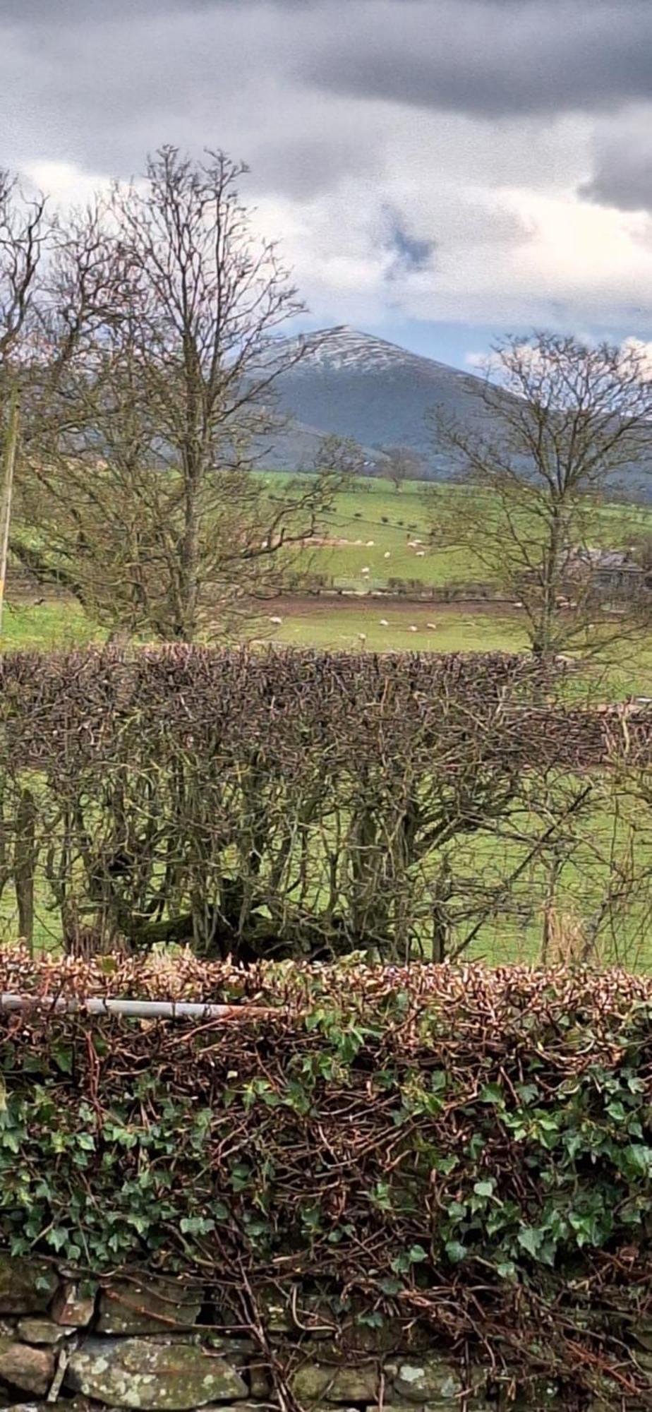 Lakes And Eden Valley. Thornhill Cabin Long Marton Exterior photo